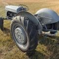 Fergie T20