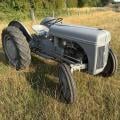 Fergie T20
