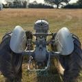 Fergie T20