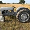 Fergie T20